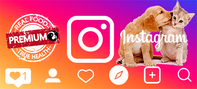 Seguenos en Instagram