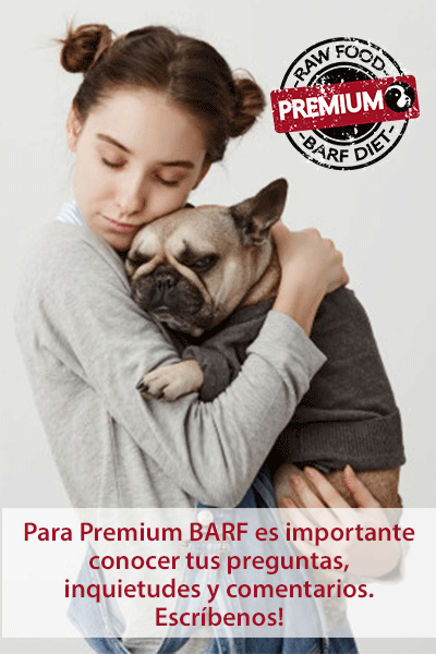 Seguenos en Instagram
