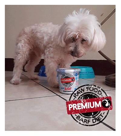 Chito Premium Barf Food