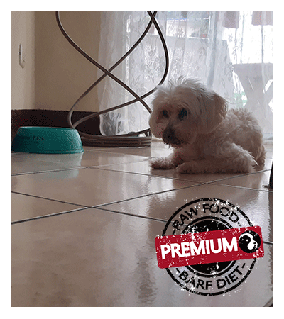 Chito Premium Barf Food