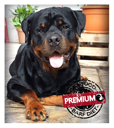 Lorenzo Premium Barf Food Lorenzo